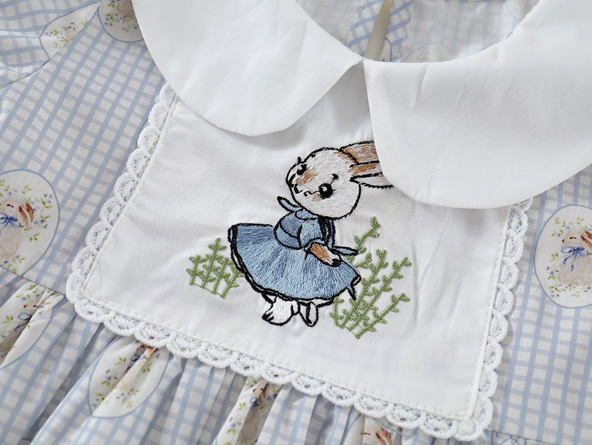 Girl's Gingham Peter Rabbit Dress - K6125958