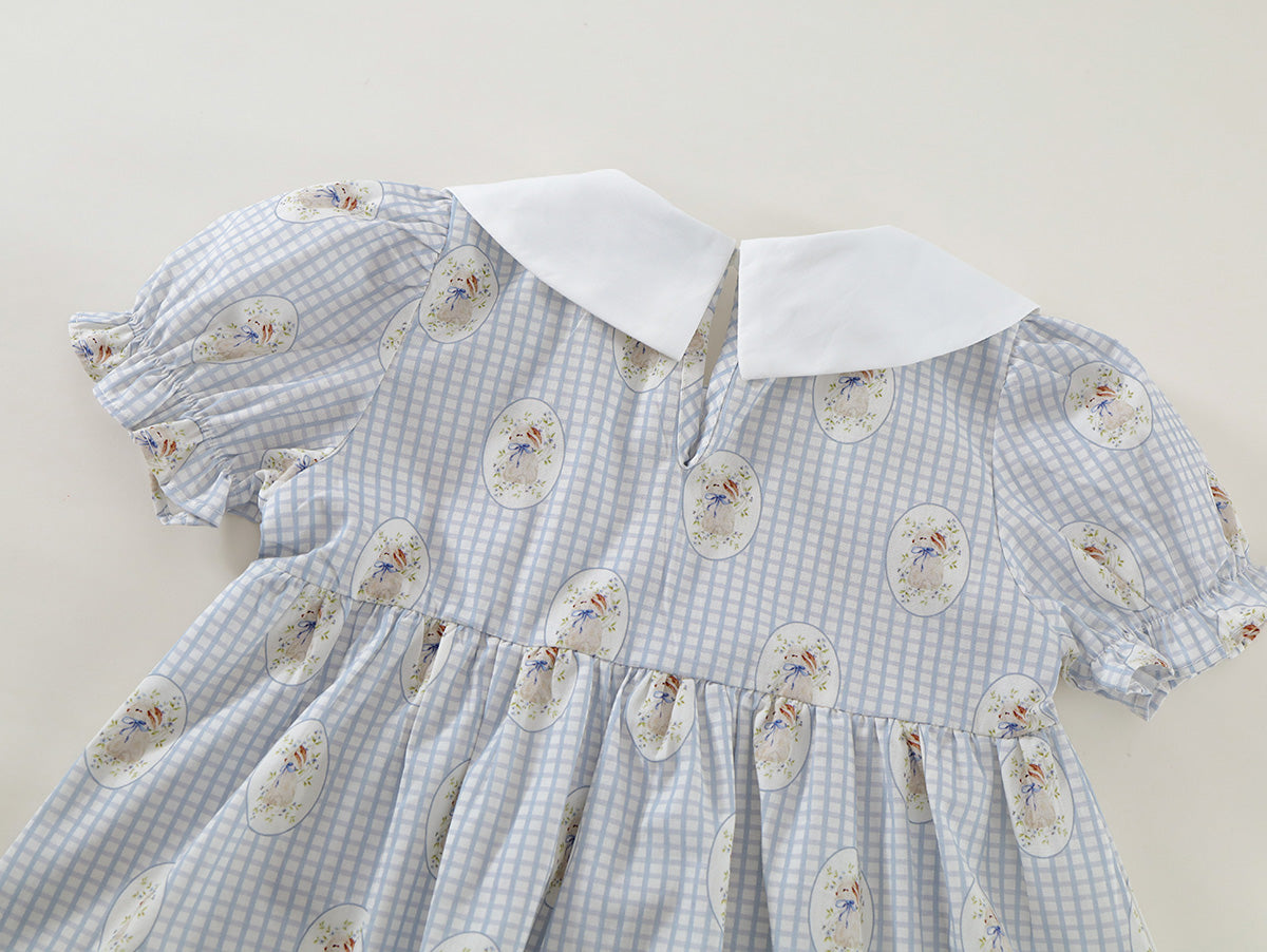 Girl's Gingham Peter Rabbit Dress - K6125958